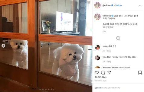 Amankan Anjing Kesayangan