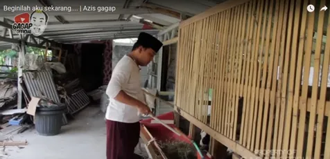 Beri Makan Kambing