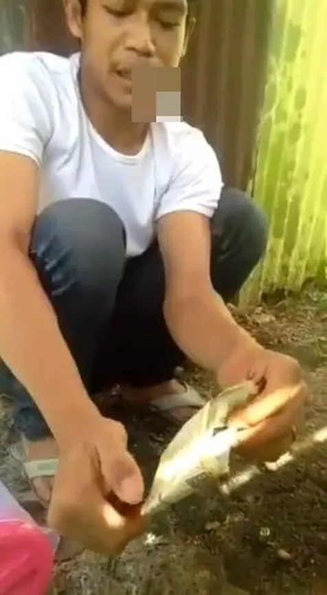 Bakar STNK