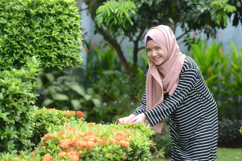 Ibunda Melihat Calon Menantu