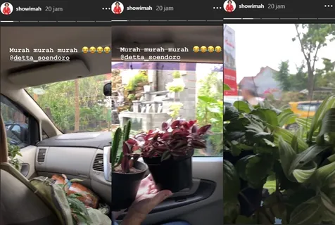 Soimah Seperti Penjual Tanaman