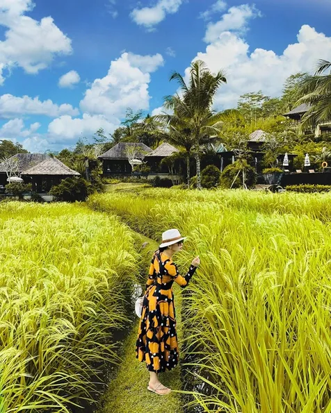 Indah di Sawah