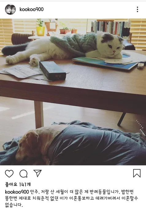 Postingan Goo Hye Sun