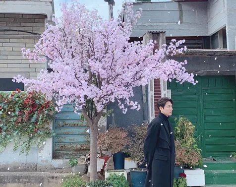 Lee Min Ho