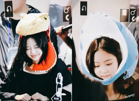 Hiu & Dinosaurus