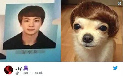 Rambut Jin Ala Anjing Meme