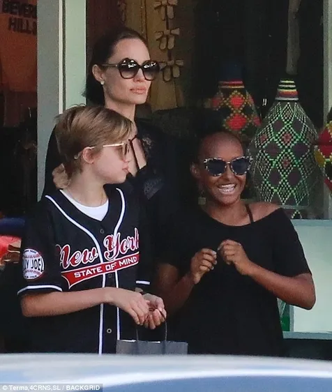 Angelina Tuduh Brad Tak Beri Cukup Nafkah