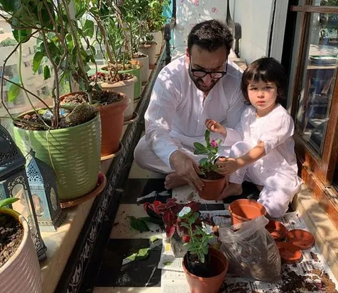 Saif dan Taimur Berkebun
