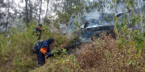 Luas Area yang Terbakar