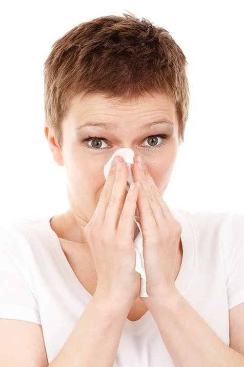 Meredakan Flu