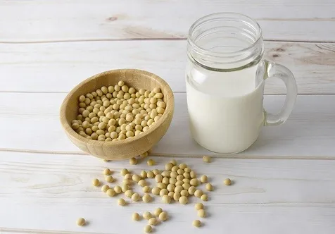 Susu Kedelai