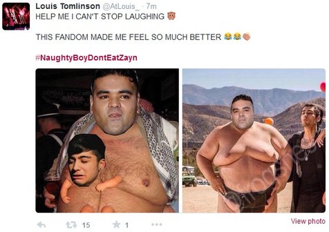 Salah satu Directioner yang ikut berkicau di Twitter soal Zayn dan Naughty Boy © twitter.com/AtLouis_