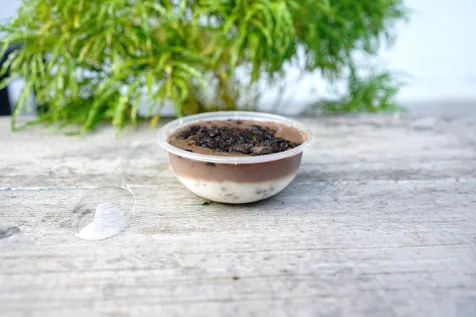 Choco Puding Oreo