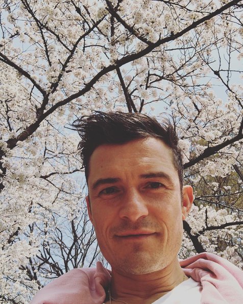 © instagram.com/orlandobloom