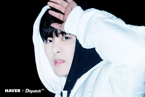 Hoya