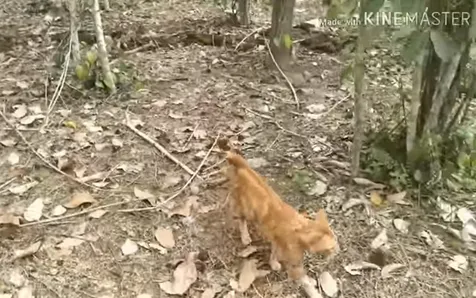 Ikut Berkebun