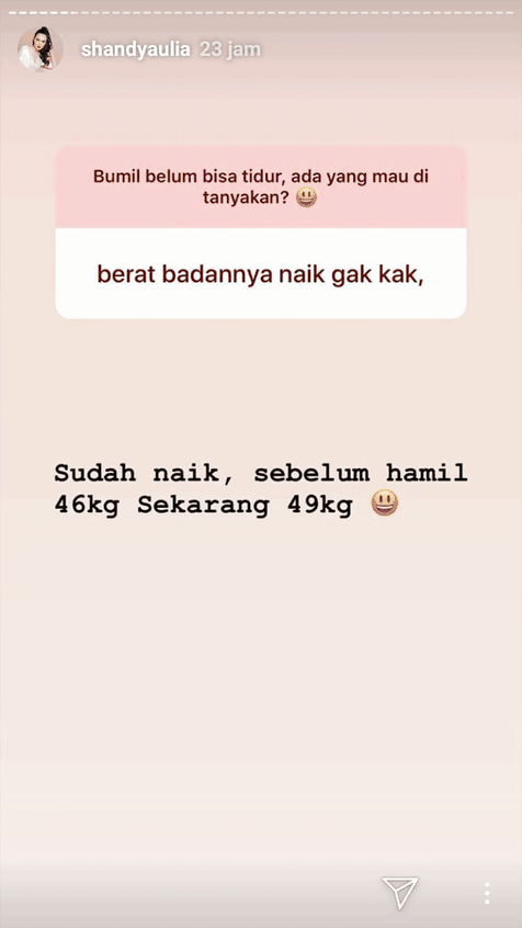 Shandy Aulia Naik 3 kg