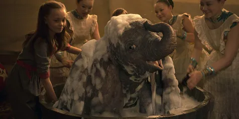Dumbo Bisa Terbang