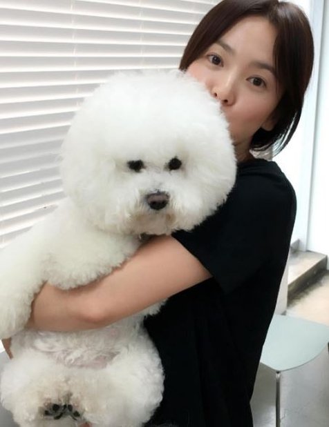Nama anjing sunghoon