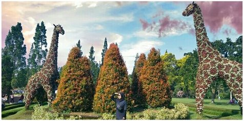 Taman Bunga Nusantara ini berlokasi di Kecamatan Sukaresmi tepatnya di Desa Kawungluwuk.