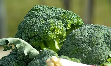 Sayur Brokoli