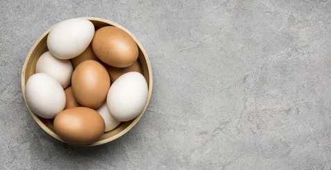 Telur