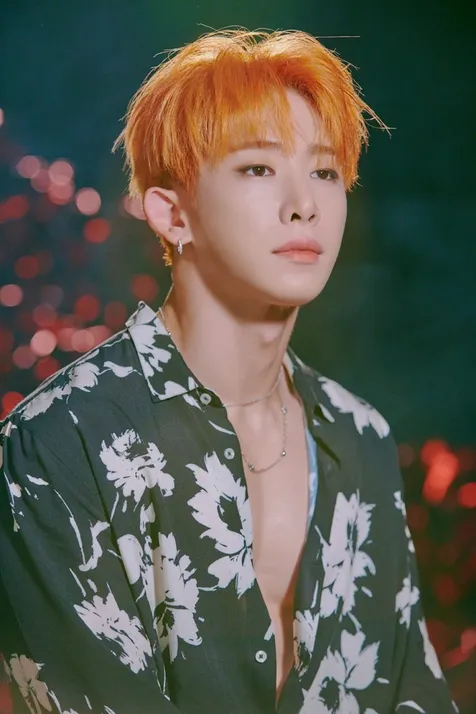 MV FOLLOW