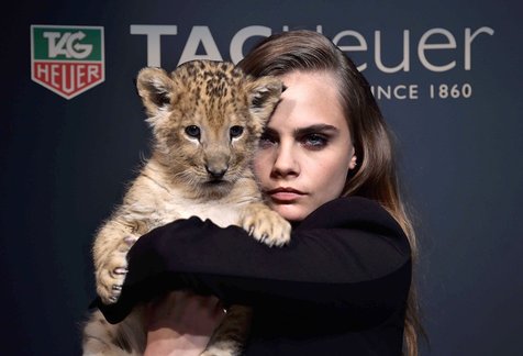 Nile Rodgers terkejut dan kagum dengan bakat musik yang ditunjukkan Cara Delevingne ©Fameflynet