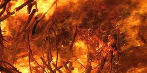 8 Arti Mimpi Dikejar Ular Menurut Islam - Mitologi Yunani, Maknanya Tak  Selalu Buruk - Kapanlagi.com