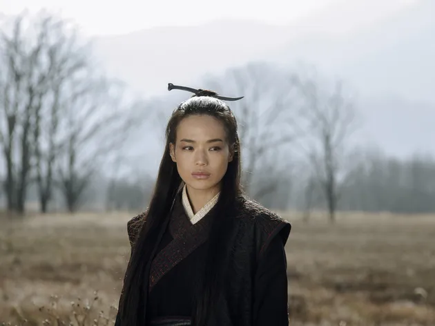 THE ASSASSIN