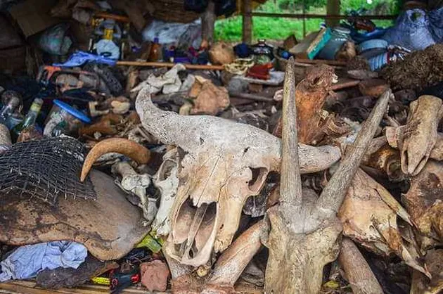 makanan aneh, makanan unik, makanan dari seluruh dunia