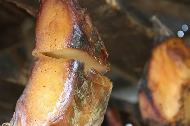 makanan aneh, makanan unik, makanan dari seluruh dunia