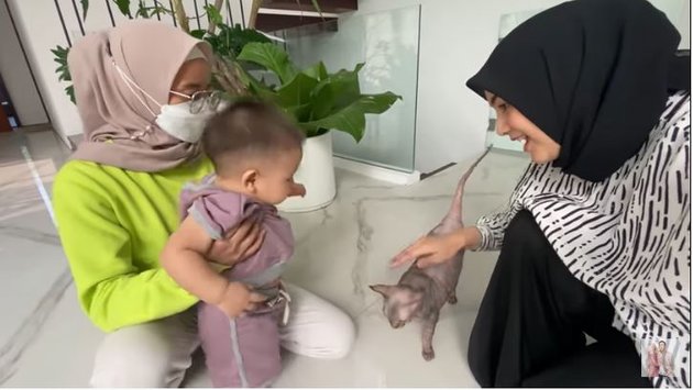 10 Cute Photos of Baby Athar Learning to Crawl, Excited Reaction When Meeting a Sphynx Cat