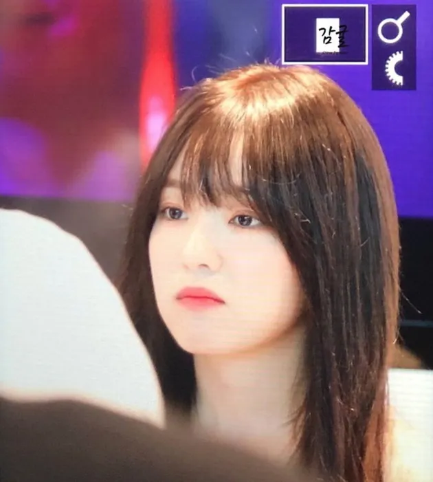 Irene Red Velvet 