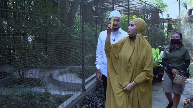 10 Funny Photos of Kartika Putri Pranking and Looking for a Macaw Bird for Her Husband, Habib Usman's Sulking Expression Becomes the Highlight!