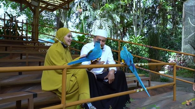 10 Funny Photos of Kartika Putri Pranking and Looking for a Macaw Bird for Her Husband, Habib Usman's Sulking Expression Becomes the Highlight!