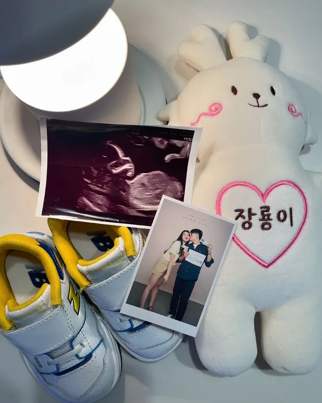 Istri Jang Hansol Hamil