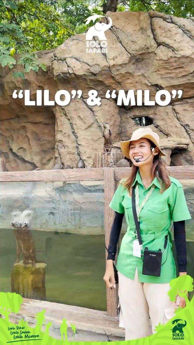 <nil>