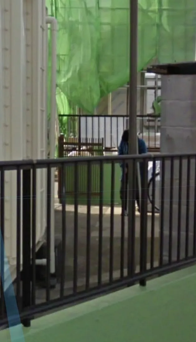 Penampakan Mendiang Keluarga di Google Earth