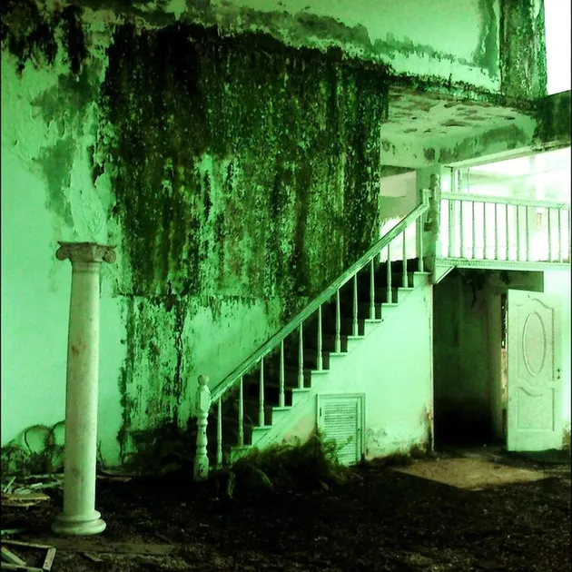 Sudut Rumah Tao Ming Tse berlumut