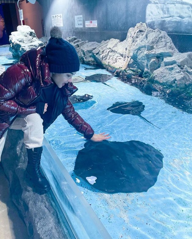 10 Photos of Syahrini in Japan, Very Happy and Excited to See Big Stingrays and Meet Cute Penguins