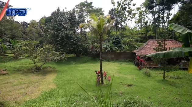 <nil>