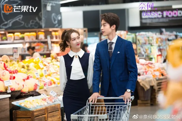 Drama WELL DOMINATED LOVE