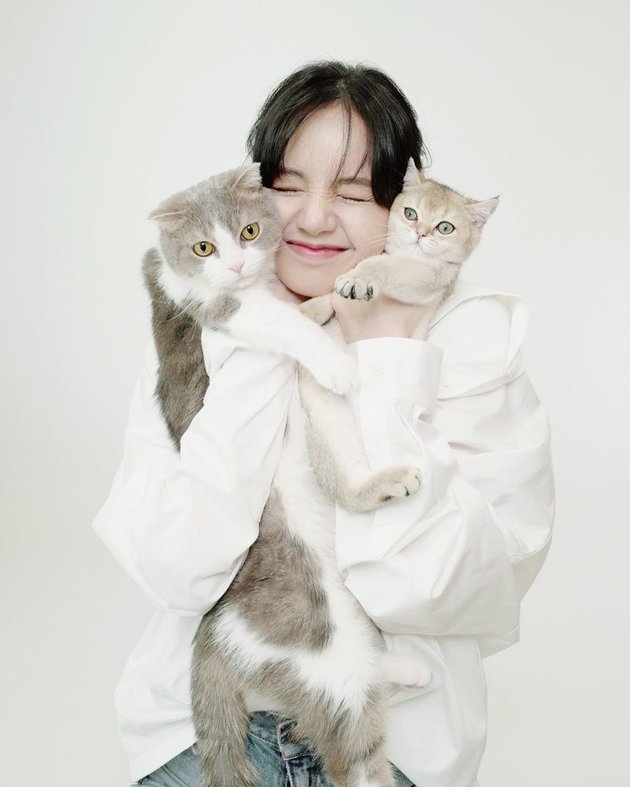 11 Photos of Lisa BLACKPINK's Pet Cats in Their First Official Photoshoot, Cute Hugs from the Beloved Fur Babies