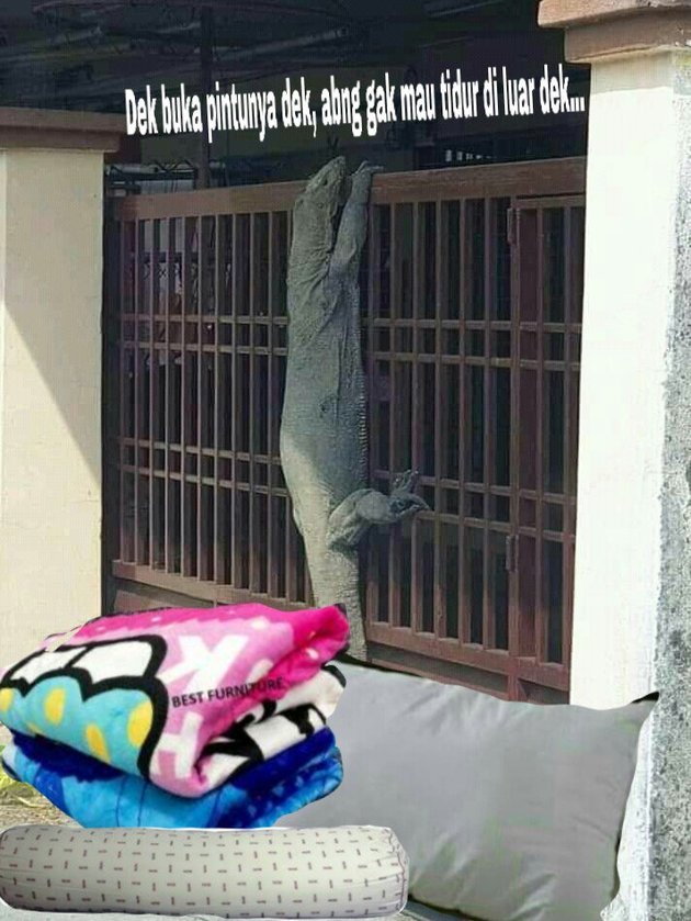 <nil>