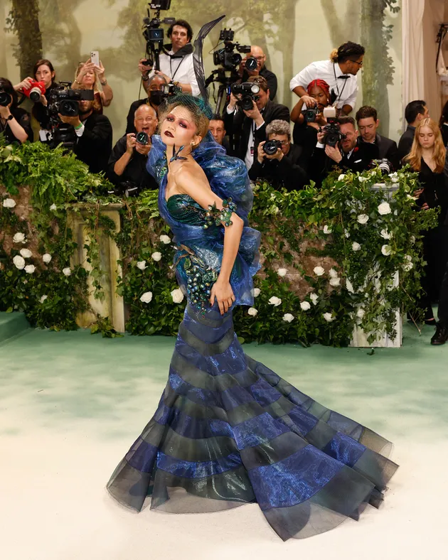 Red Carpet Met Gala 2024