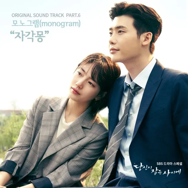 drakor WHILE YOU WERE SLEEPING