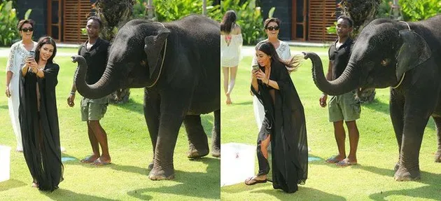 foto unik, foto aneh, foto lucu, foto keren, viral