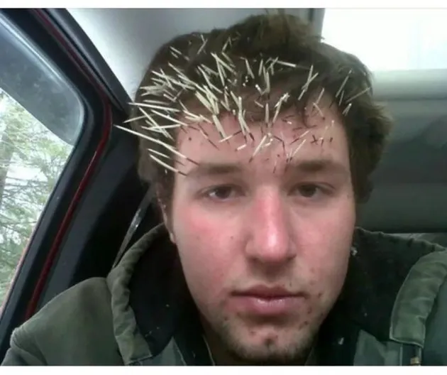 foto unik, foto aneh, foto lucu, foto keren, viral