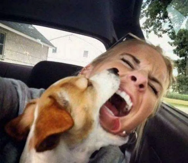 foto unik, foto aneh, foto lucu, foto keren, viral